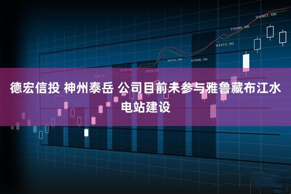 德宏信投 神州泰岳 公司目前未参与雅鲁藏布江水电站建设