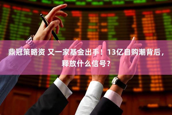 鼎冠策略资 又一家基金出手！13亿自购潮背后，释放什么信号？